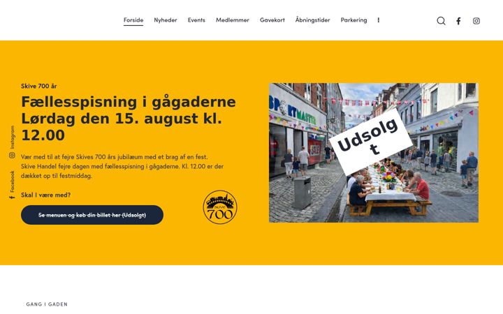 Screenshot von skivehandel.dk