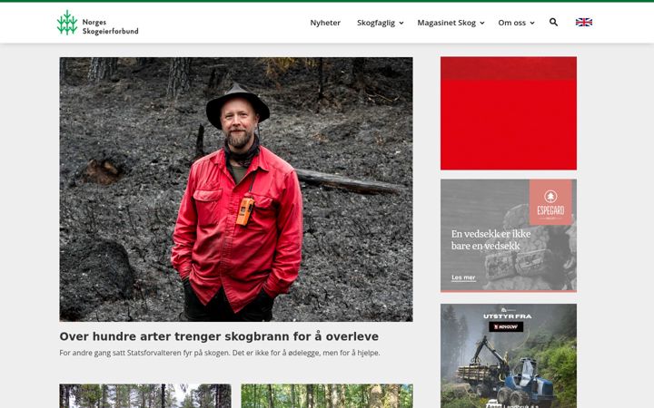 Screenshot of skog.no
