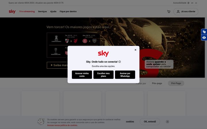 Zrzut ekranu sky.com.br