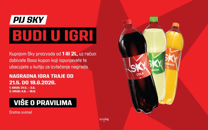 Screenshot of skyjesky.com