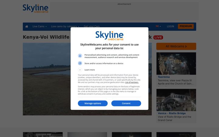 Screenshot ta' skylinewebcams.com