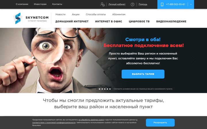 Skärmbild av skynetcom.ru