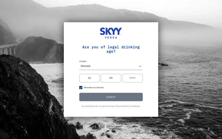 skyyvodka.com