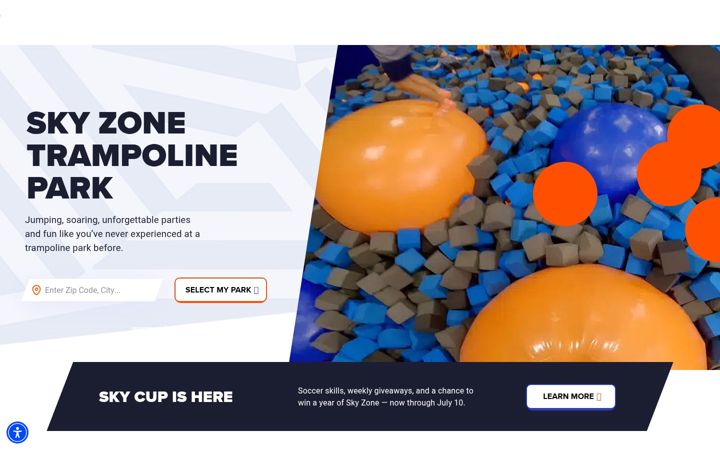 skyzone.com