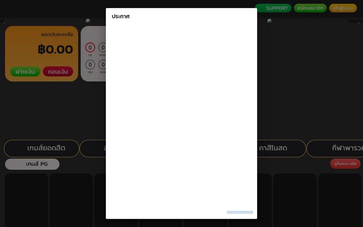 Screenshot of sllrich.com