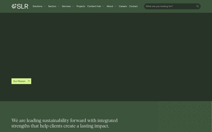 Zrzut ekranu slrconsulting.com
