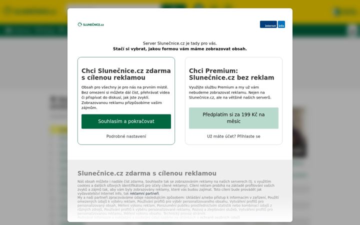 Screenshot of slunecnice.cz