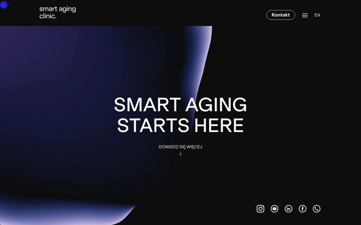 smartagingclinic.com
