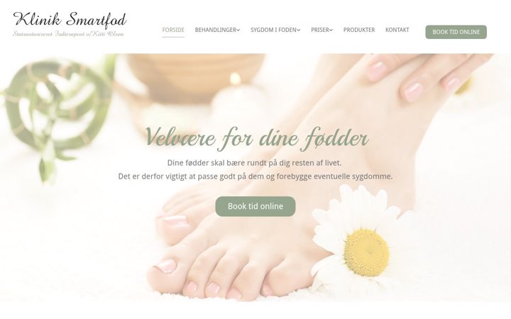Screenshot of smartfod.dk
