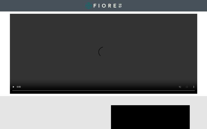 Screenshot of smartshirt.it