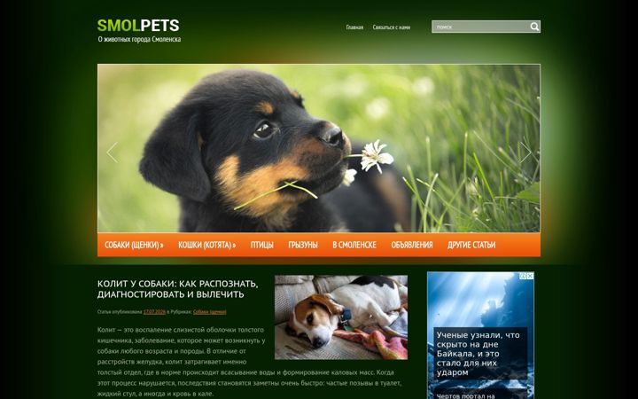Screenshot of smolpets.ru