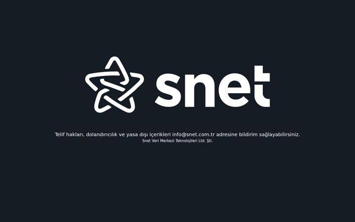 Screenshot of snetdns.com