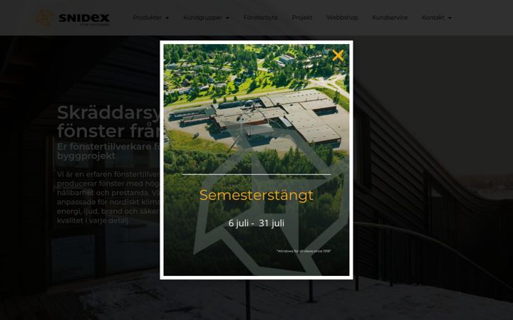Zrzut ekranu snidex.se
