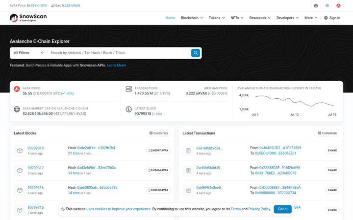 Screenshot of snowscan.xyz