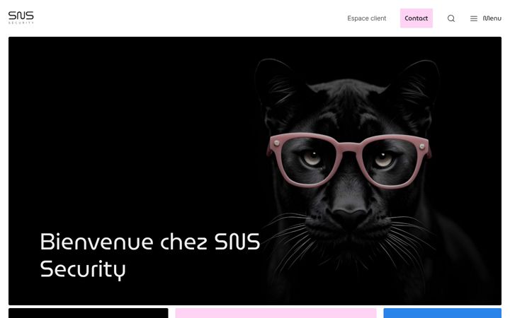 Screenshot of sns-security.fr