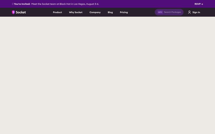 Screenshot von socket.dev
