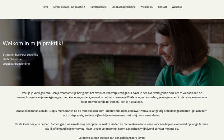 Screenshot ta' sofiedewilde.be