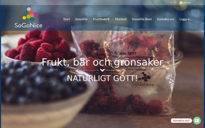 sogonice.com