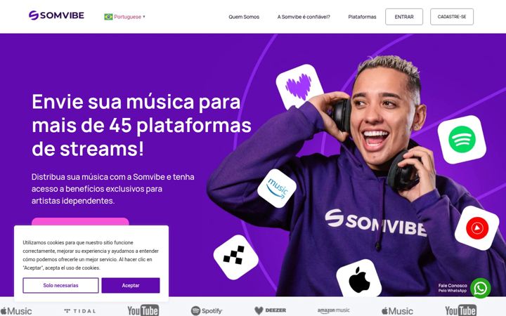 Screenshot of somvibe.com
