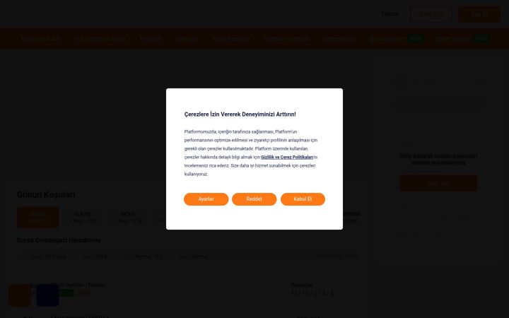 Screenshot of sonduzluk.com