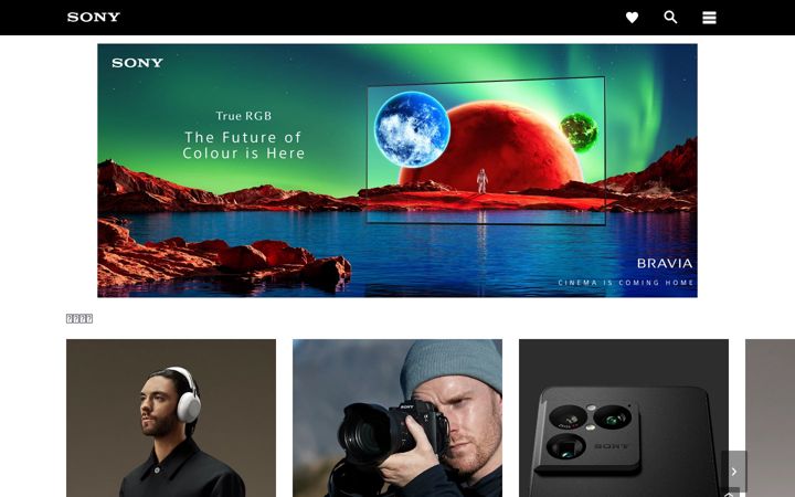 Screenshot of sony.com.tw