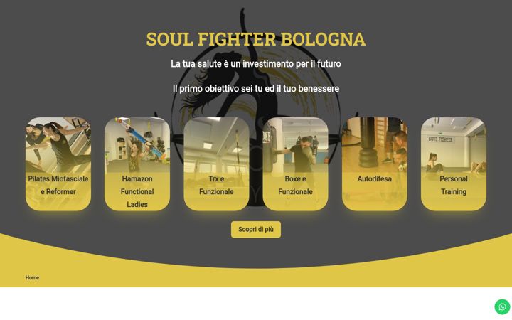 Screenshot of soulfighter.it