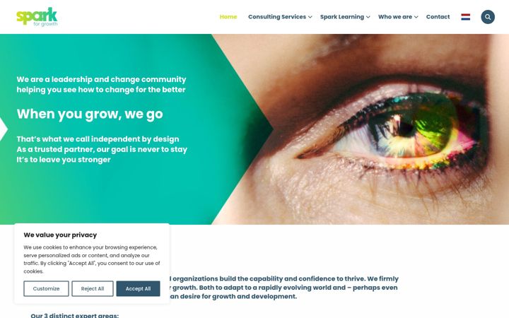Screenshot di sparkforgrowth.com