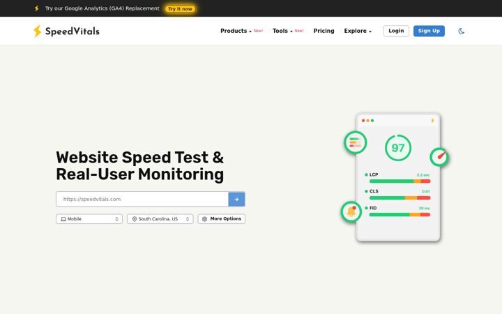 Screenshot of speedvitals.com