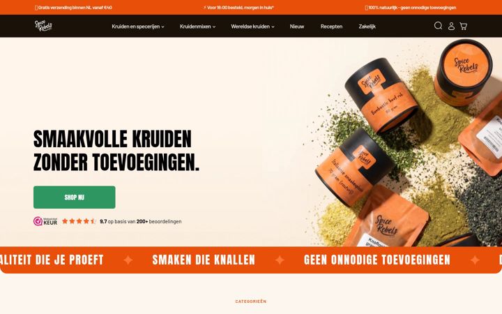 Screenshot of spicerebels.com