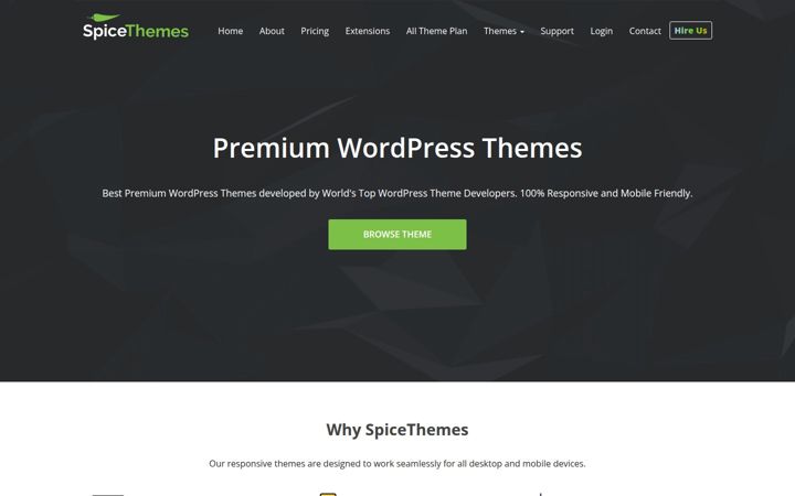 Ekrānuzņēmums no spicethemes.com
