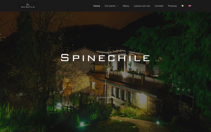 spinechile.com