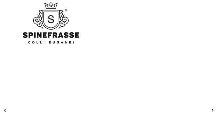 Screenshot of spinefrasse.it