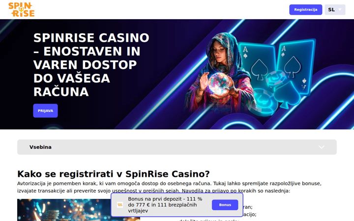 Screenshot of spinrise-si.net