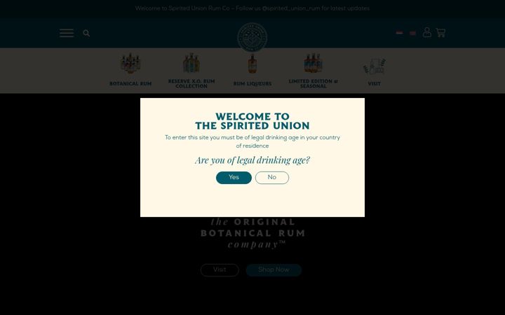 Screenshot of spirited-union.com