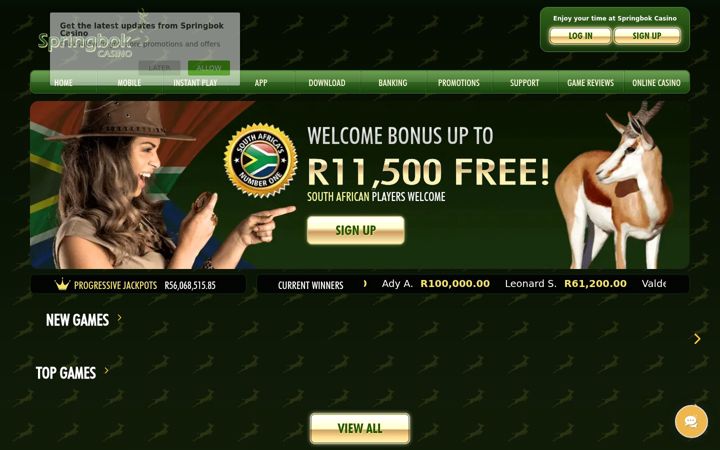 Snímek obrazovky springbokcasino.co.za