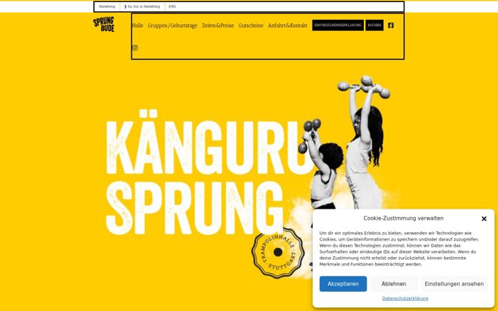 sprungbude-heidelberg.de