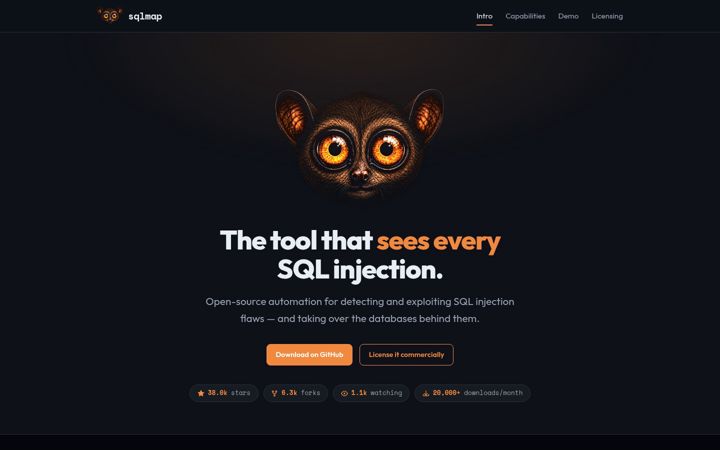 Screenshot of sqlmap.org
