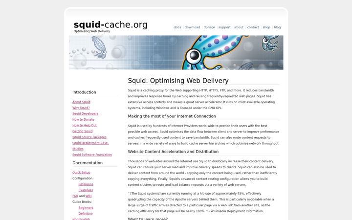 Skjámynd af squid-cache.org