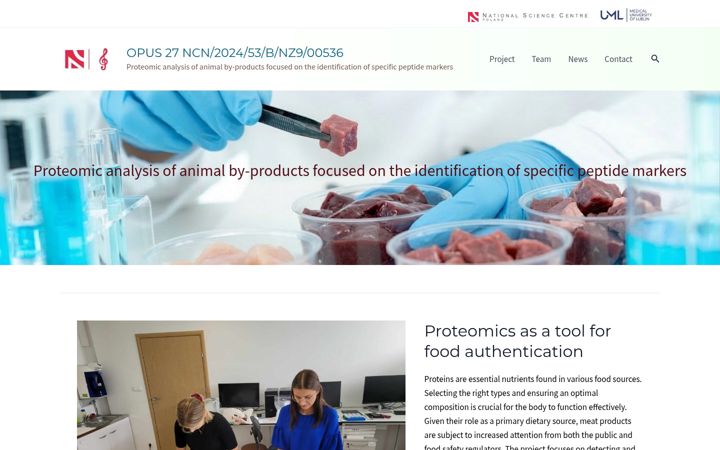Screenshot of stachniuk.net