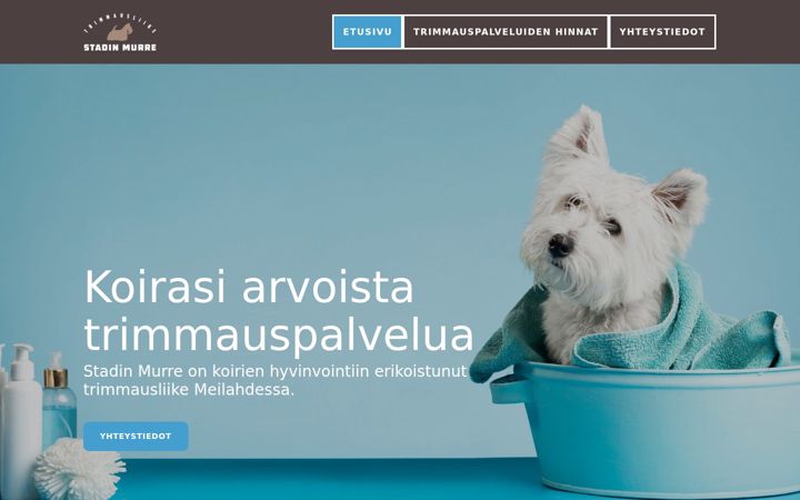 Screenshot of stadinmurre.fi