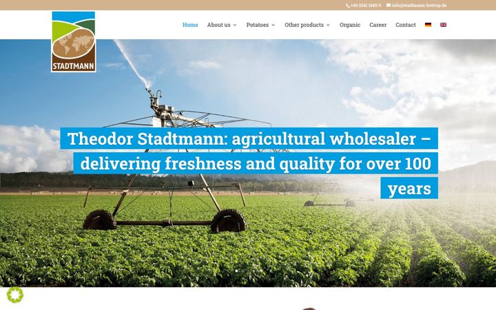 Screenshot of stadtmann-kartoffeln.de