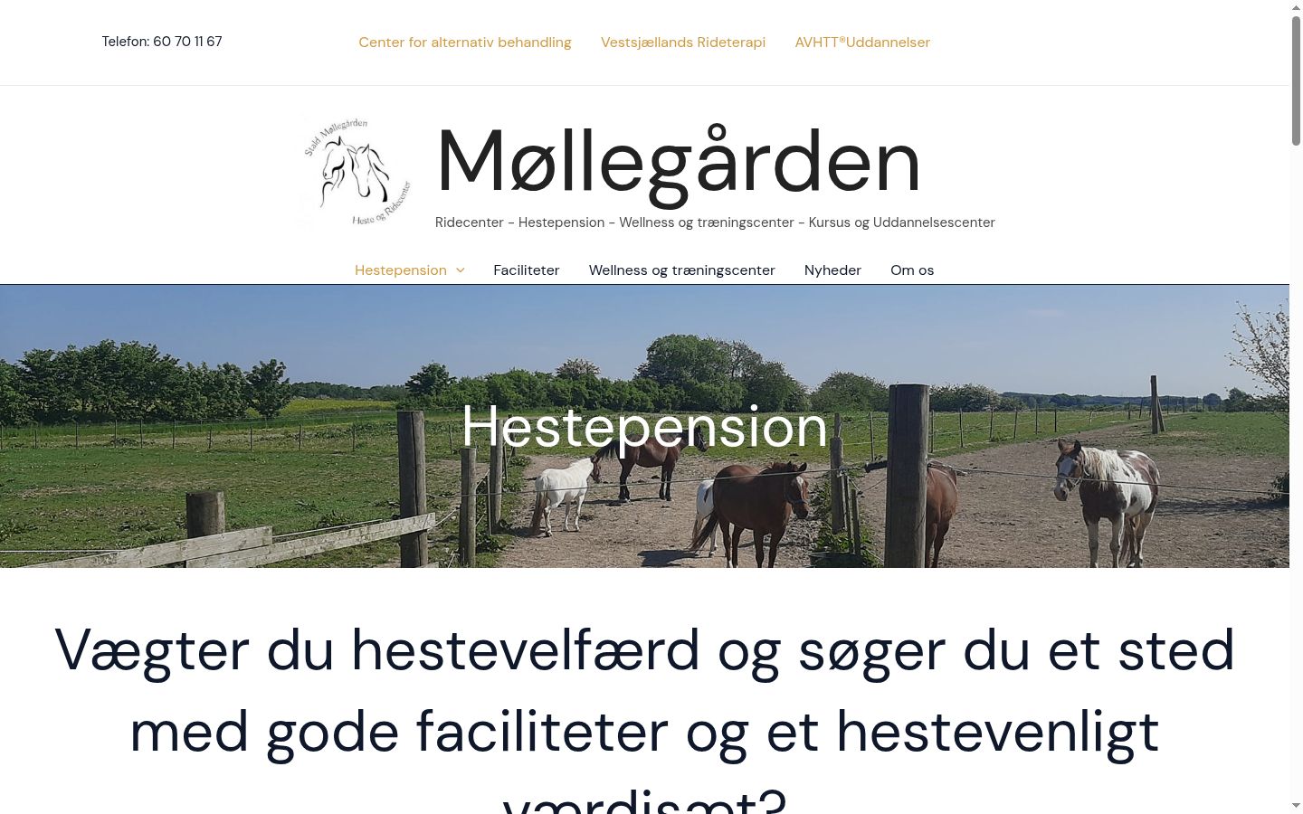 Skärmbild av samtyckesbannern som visades före någon interaktion