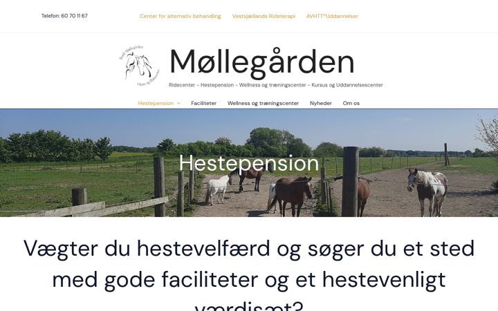 Screenshot of staldmoellegaarden.dk