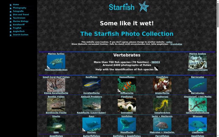 Screenshot ta' starfish.ch