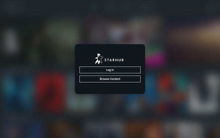Screenshot of starhubgo.com