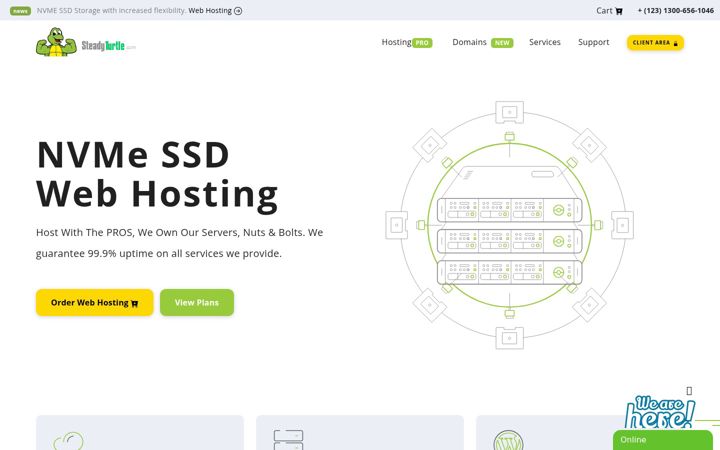 Zrzut ekranu steadyturtle.com