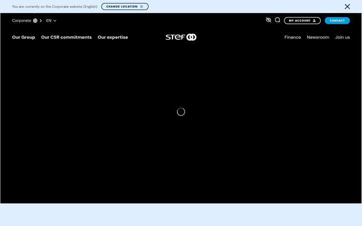Screenshot of stef.com