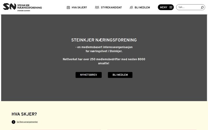 Screenshot stránky steinkjernf.no