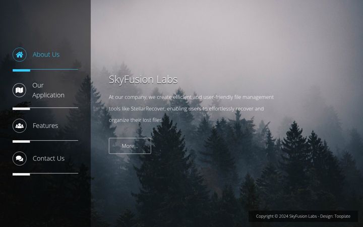 Screenshot of stellarrecover.com