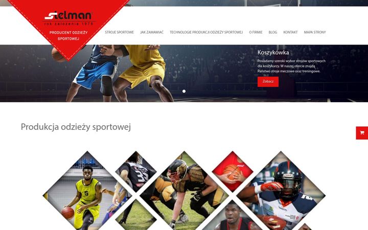 Screenshot di stelman.com.pl